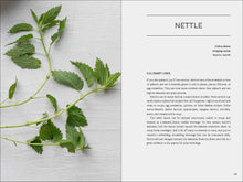 Load image into Gallery viewer, Front Cover