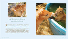 Load image into Gallery viewer, Front Cover
