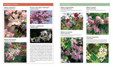 Load image into Gallery viewer, Front Cover