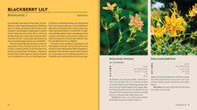 Load image into Gallery viewer, Front Cover