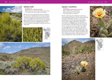 Load image into Gallery viewer, Front Cover
